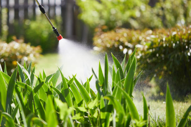 24/7 Emergency Wasp Removal experts in Fruitville, FL