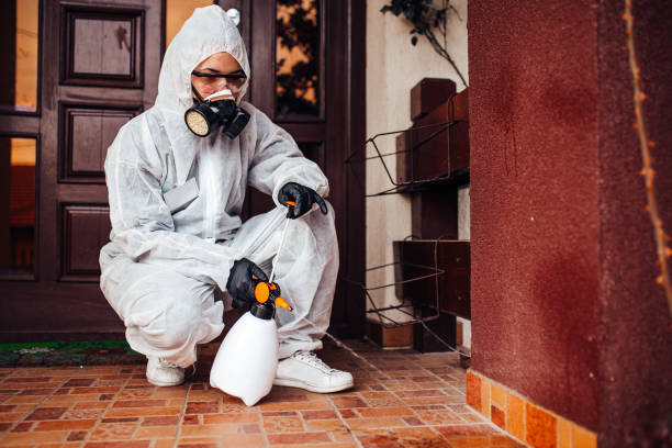 Reliable Wasp Removal contractor in Fruitville, FL by Show Me Pest Control